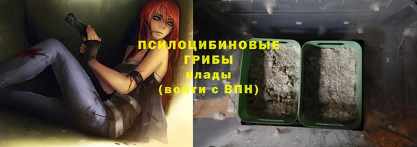 хмурый Абинск