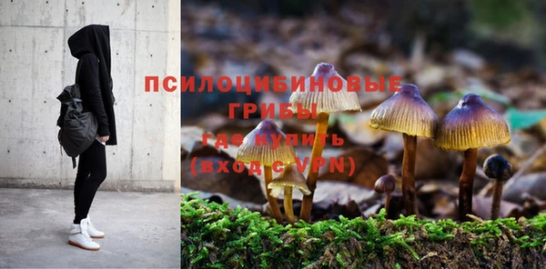 хмурый Абинск