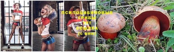 не бодяженный Алексин