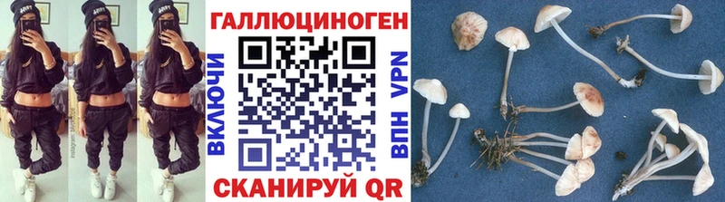 Псилоцибиновые грибы мухоморы  kraken tor  Монино 