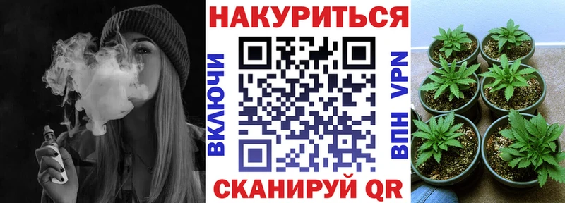 МАРИХУАНА семена  Монино 